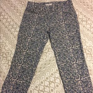 Loft the Rivera pant marisa blue and cream pattern